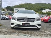 2013 Mercedes-benz A 180 Cruise Control Reversing Camera image 232247