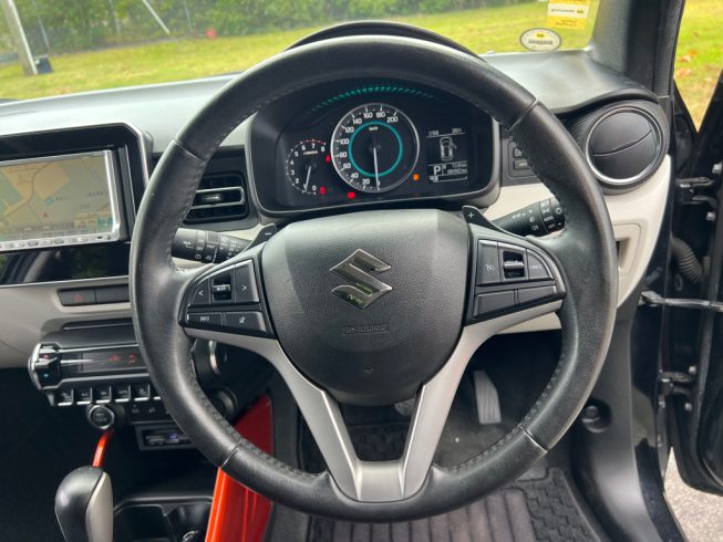 2016 Suzuki Ignis Hybrid MZ Safety Package AWD image 245749