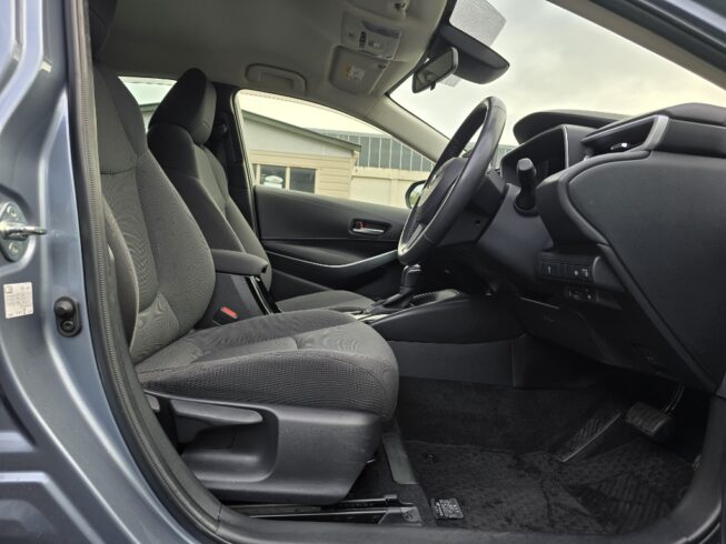 2019 Toyota Corolla New Shape Hybrid S image 291641