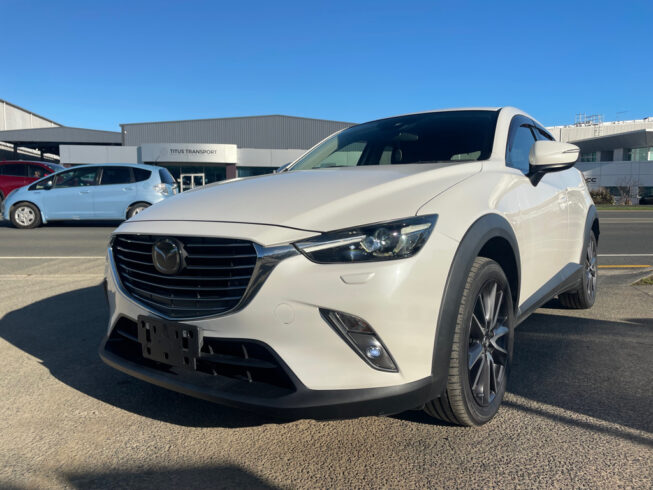 2018 Mazda Cx-3 Proactive 4WD image 293062