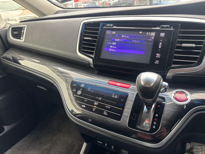 2013 Honda Odyssey Absolute image 291595