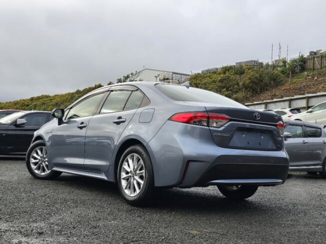 2019 Toyota Corolla New Shape Hybrid S image 291654