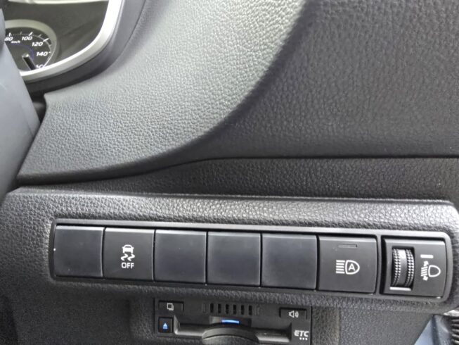 2019 Toyota Corolla New Shape Hybrid S image 291652