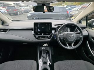 2019 Toyota Corolla New Shape Hybrid S image 291646