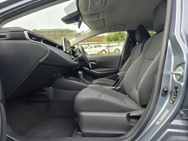 2019 Toyota Corolla New Shape Hybrid S image 291643