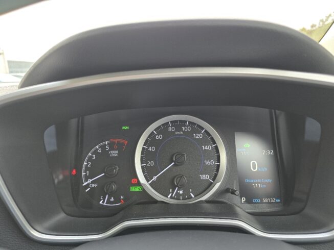 2019 Toyota Corolla New Shape Hybrid S image 291648