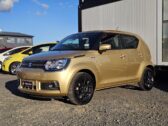 2016 Suzuki Ignis hybrid image 298260
