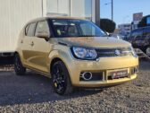 2016 Suzuki Ignis hybrid image 298261