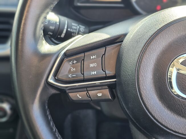 2018 Mazda 3 GSX 2.0P/6AT *NZ NEW* image 296190