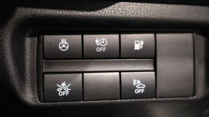 Nissan Leaf 40Kwh X – Pro Pilot – 85% SOH image 303094