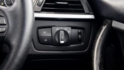 Bmw 320i Leather package, Reverse camera image 316511